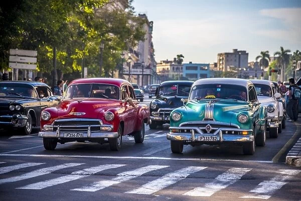 Classic 1950s American cars, Paseo di Marti, La Habana Vieja (Old Havana), Havana