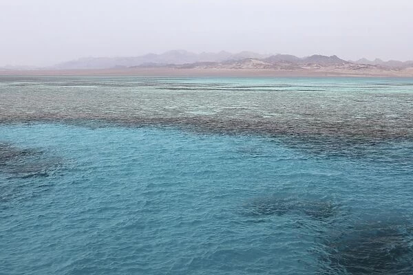 Clear Red Sea waters, Ras Mohammed National Park, Sinai South, Egypt, North Africa