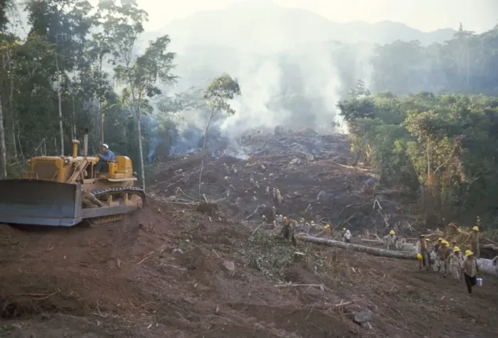 Framed Print : Clearing forest for building of the Forest Edge highway Framed Print : Clearing forest for building of the Forest Edge highway