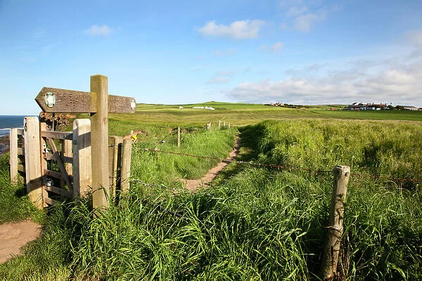 The Cleveland Way Footpath at Saltwick Bay near Whitby, North Yorkshire, Yorkshire, England, United Kingdom, Europe