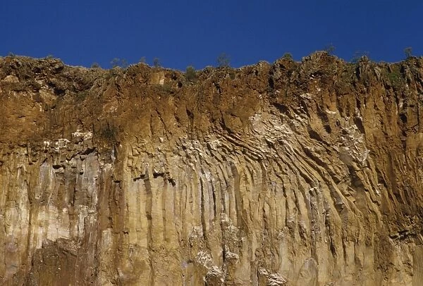Cliff detail, Hells Gate, Kenya, East Africa, Africa