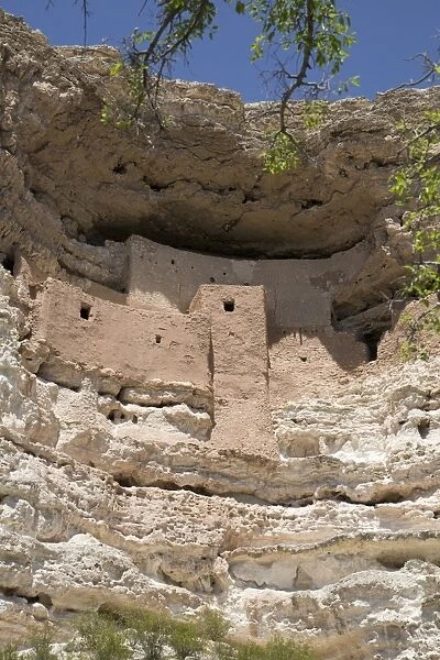 Cliff dwelling of Southern Sinagua farmers, built in the early 1100s CE (Common Era), a five storey, 20 room structure, Montezuma Castle National Monument, Arizona, United States of America, North America