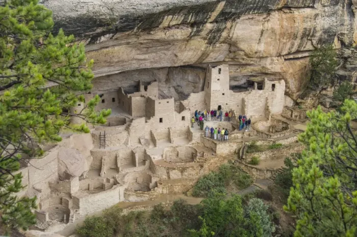 Framed Print : The Cliff Palace Indian dwelling, Mesa Verde National Park, UNESCO World Heritage Site, Colorado, United States of America, North America Framed Print : The Cliff Palace Indian dwelling, Mesa Verde National Park, UNESCO World Heritage Site, Colorado, United States of America, North America