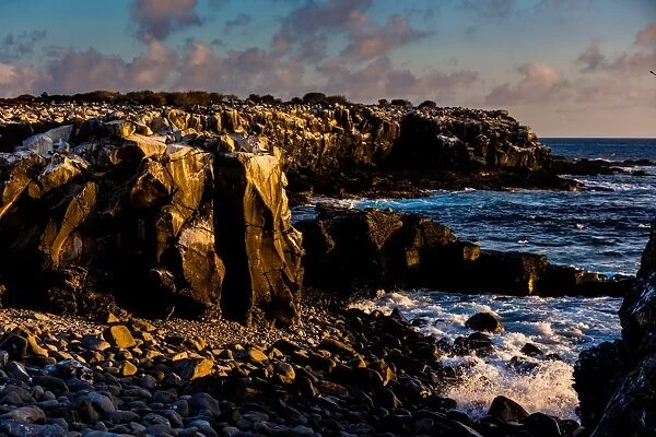Cliffs of Espanola Island, Galapagos Islands, UNESCO World Heritage Site, Ecuador