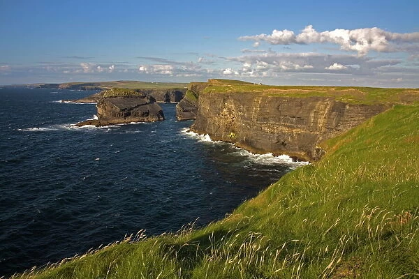 Cliffs near Kilkee, Loop Head, County Clare, Munster, Republic of Ireland, Europe
