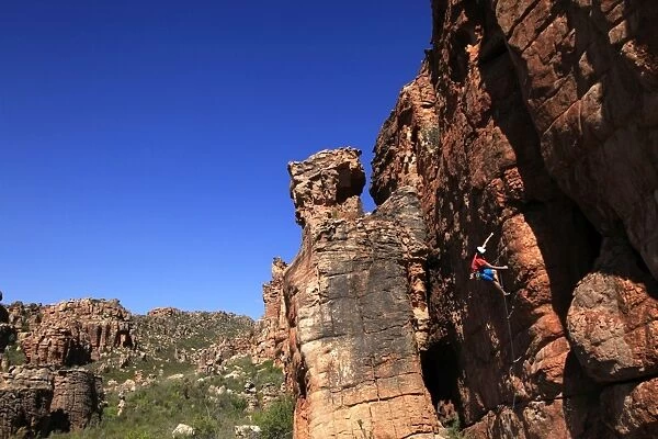 Climber on cliffs in the Cederberg mountains, Western Cape, South Africa, Africa