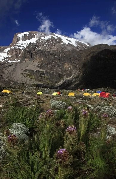 Climbers camping at the Barranco campsite underneath the snowy Uhuru Peak of Mount Kilimanjaro