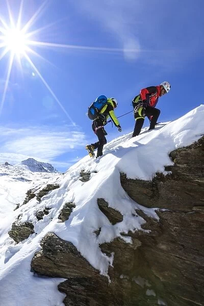 Climbers on the rocks with the snowy peaks of the Alps in the background, Stelvio Pass