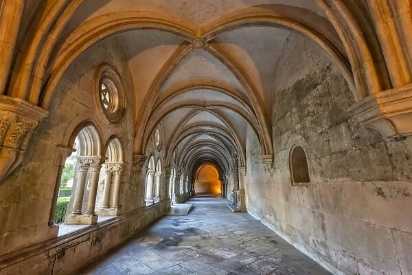 Cloister of King Dinis, Santa Maria Monastery, UNESCO World Heritage Site, Alcobaca, Estremadura, Portugal, Europe