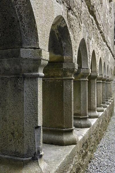 Cloister, Ross Errilly Franciscan Friary