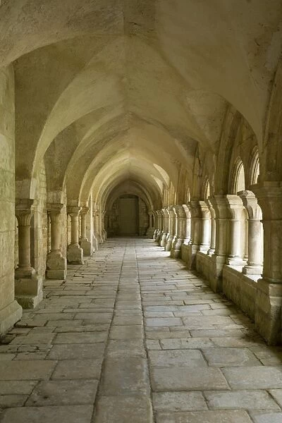 Cloisters, Fontenay Abbey, UNESCO World Heritage Site, Burgundy, France, Europe
