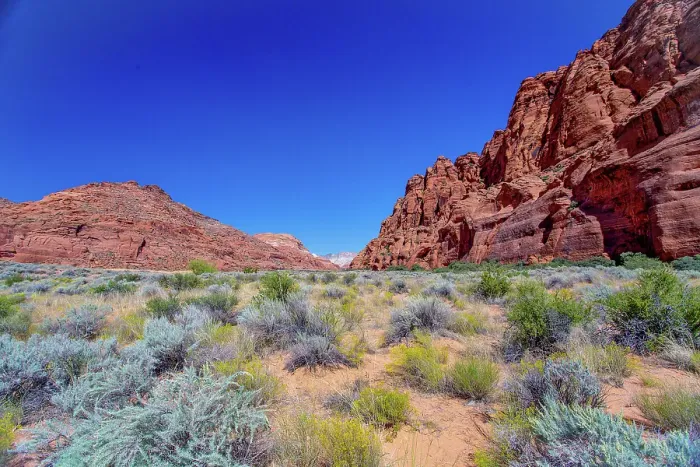 Framed Print : Close to entrance to Jenny's Canyon, Snow Canyon State Park, near St. George, Utah, United States of America Framed Print : Close to entrance to Jenny's Canyon, Snow Canyon State Park, near St. George, Utah, United States of America