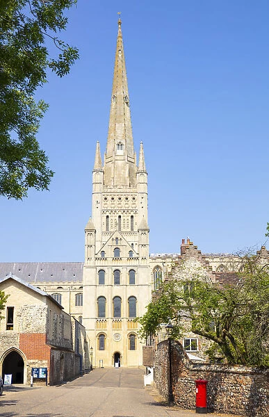 The Close, Norwich Cathedral and spire from the Cathedral Close, Norwich, Norfolk, East Anglia, England, United Kingdom, Europe