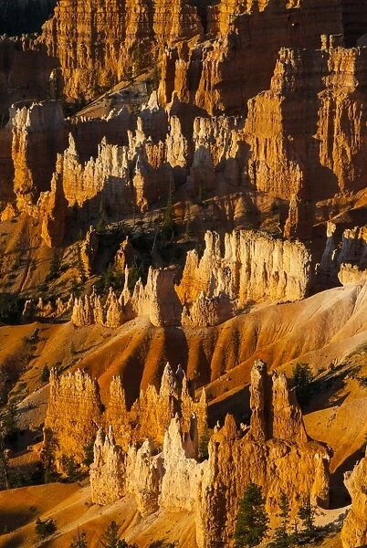 Close up of the pinnacles, beautiful rock formations of Bryce Canyon National Park at sunset, Utah, United States of America, North America