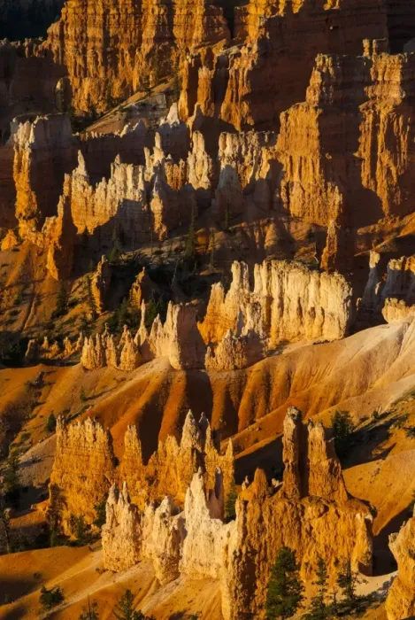 Framed Print : Close up of the pinnacles, beautiful rock formations of Bryce Canyon National Park at sunset, Utah, United States of America, North America Framed Print : Close up of the pinnacles, beautiful rock formations of Bryce Canyon National Park at sunset, Utah, United States of America, North America