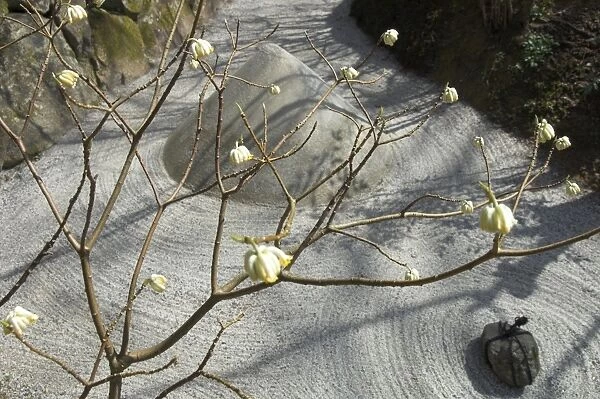Close up with sand motifs of Japanese garden