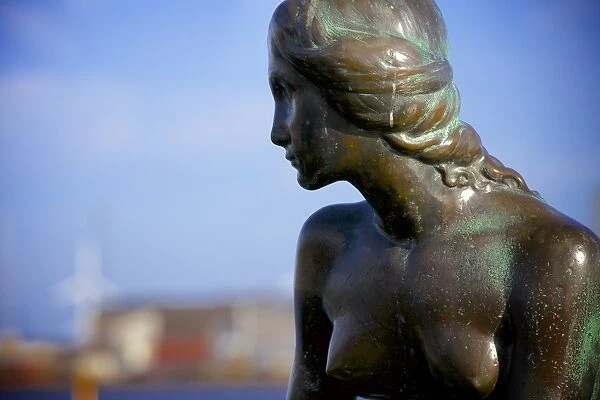Close up of the Statue of The Little Mermaid in Copenhagen, Denmark, Scandinavia, Europe