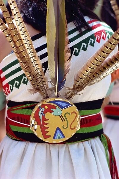 Close-up of the belt and feathers from the costume