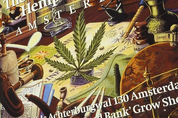 Close-up of cannabis shop sign