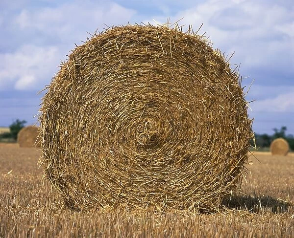 Close-up of a circular straw bale in a field in Nottinghamshire, England
