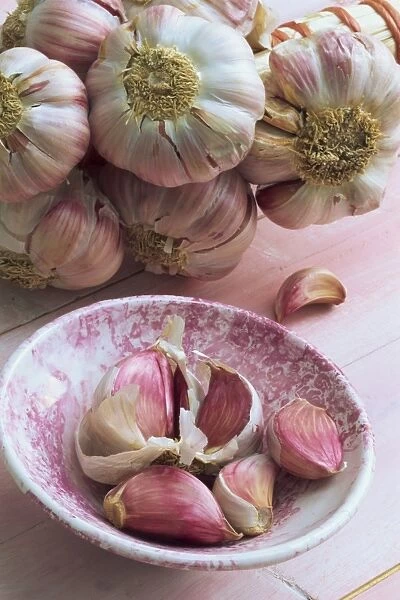 Close-up of cloves of garlic in a pink bowl, with a bunch of heads of garlic in the background
