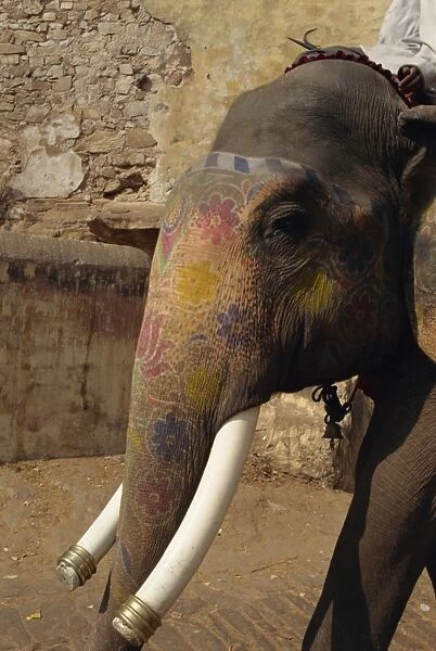 Close-up of elephant at Amber Palace