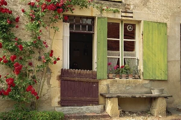 Close-up of the exterior of a house with green shutters, pot plants and red roses beside the door
