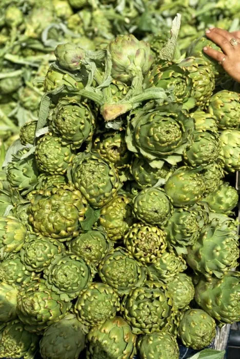 Framed Print : Close-up of globe artichokes on market day Framed Print : Close-up of globe artichokes on market day