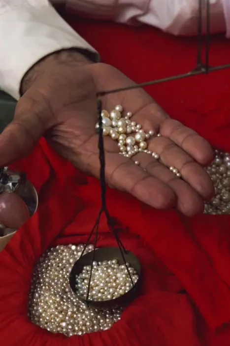 Framed Print : Close-up of hand displaying pearls with weighing scales, in the pearl souk Framed Print : Close-up of hand displaying pearls with weighing scales, in the pearl souk