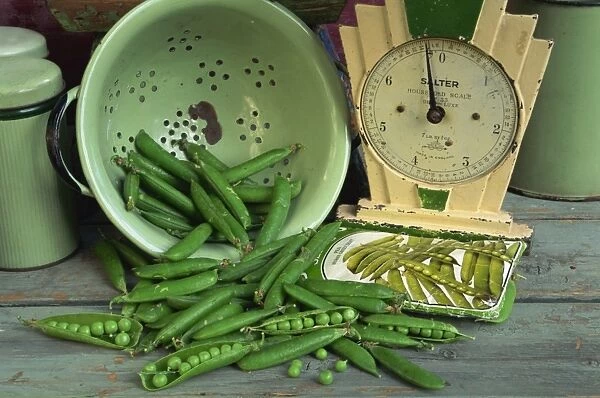 Close-up of still life of fresh garden peas in an old