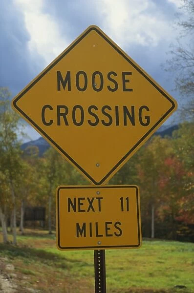 Close-up of a Moose Crossing yellow road sign