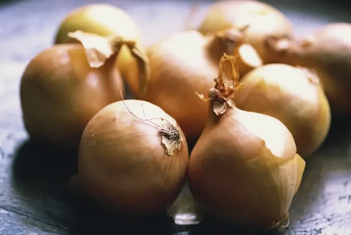 Framed Print : Close-up of onions Framed Print : Close-up of onions