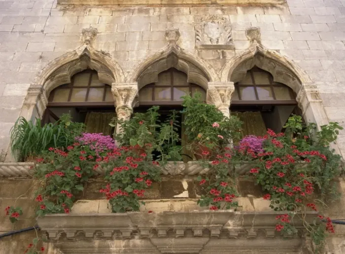 Framed Print : Close-up of ornate window arches with pots of oxalis and geraniums on the balcony at Porec Framed Print : Close-up of ornate window arches with pots of oxalis and geraniums on the balcony at Porec