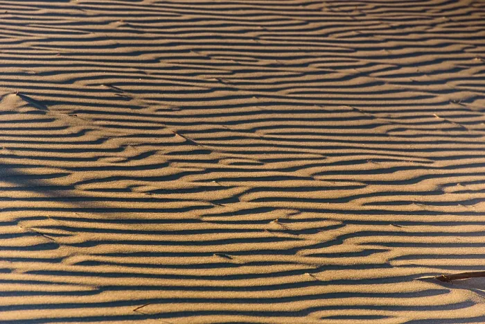 Framed Print : Close-Up of Parallel Wind Ripples in Dry Coastal Sand Dune at Sunset, New Zealand Framed Print : Close-Up of Parallel Wind Ripples in Dry Coastal Sand Dune at Sunset, New Zealand