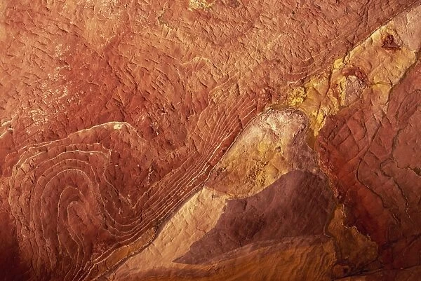 Close-up of polychromic sandstone rock patterns
