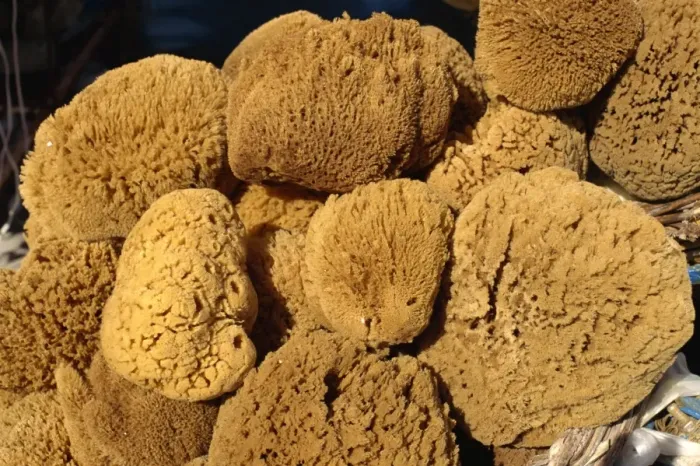 Framed Print : Close-up of sponges for sale on the island of Rhodes Framed Print : Close-up of sponges for sale on the island of Rhodes