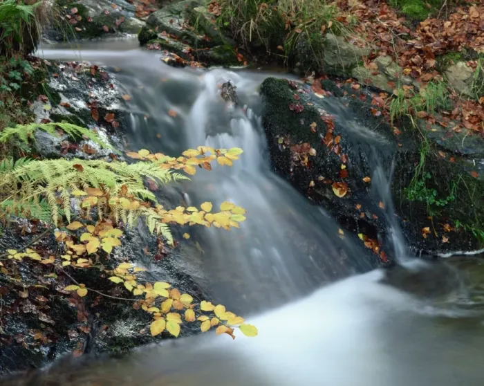 Framed Print : Close-up of stream cascading over rocks in autumn in Scotland, United Kingdom, Europe Framed Print : Close-up of stream cascading over rocks in autumn in Scotland, United Kingdom, Europe