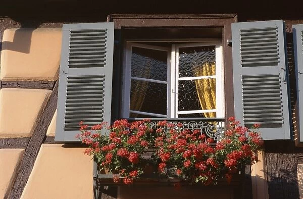 Close-up of typical window with blue shutters and windowbox full of geraniums