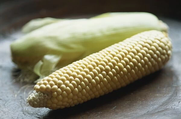 Close-up of uncooked corn on the cob