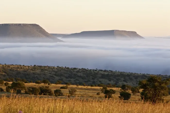 Framed Print : Cloud layer at dawn, Mountain Zebra National Park, South Africa, Africa Framed Print : Cloud layer at dawn, Mountain Zebra National Park, South Africa, Africa