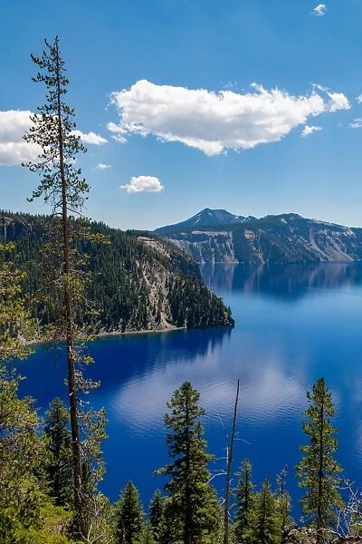 Cloud reflected in the still waters of Crater Lake, the deepest lake in the U. S. A