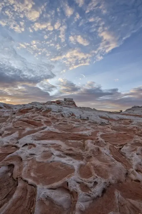 Framed Print : Clouds at dawn over salmon and white sandstone, White Pocket, Vermilion Cliffs National Monument, Arizona, United States of America, North America Framed Print : Clouds at dawn over salmon and white sandstone, White Pocket, Vermilion Cliffs National Monument, Arizona, United States of America, North America