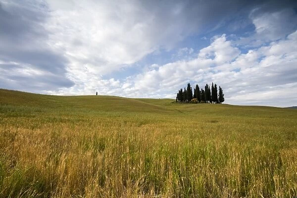 Clouds frame the gentle green hills of Val d Orcia, UNESCO World Heritage Site, Province of Siena