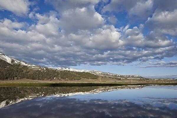 Clouds reflected in a pond, Yellowstone National Park, UNESCO World Heritage Site, Wyoming, United States of America, North America