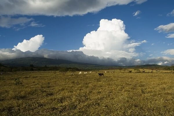 Clouds over the Rincon Volcano, near Rincon de la Vieja National Park, Gaunacaste