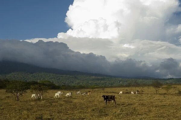 Clouds over the Rincon Volcano, near Rincon de la Vieja National Park, Guanacaste