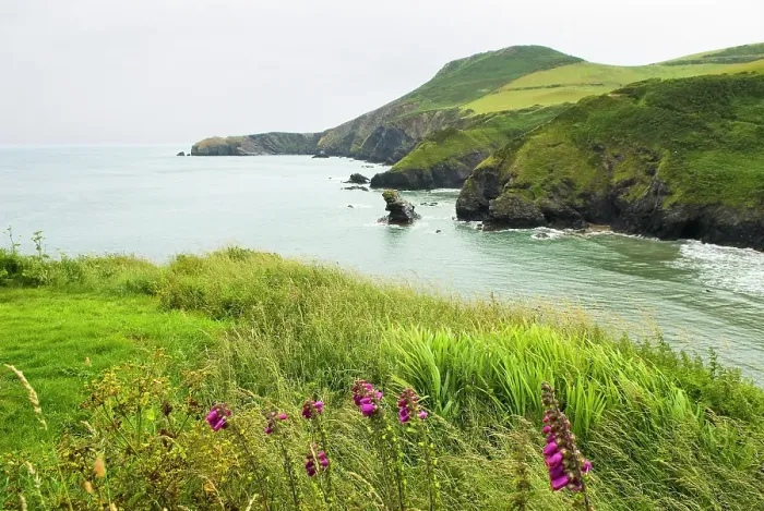Framed Print : Coast around Llangrannog, Cardigan Bay, Ceredigion county, Wales, United Kingdom Framed Print : Coast around Llangrannog, Cardigan Bay, Ceredigion county, Wales, United Kingdom