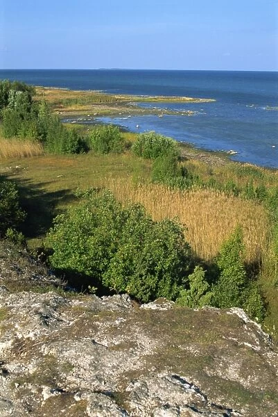 Coast of Muhu, an island to the west of Tallinn, Estonia, Baltic States, Europe