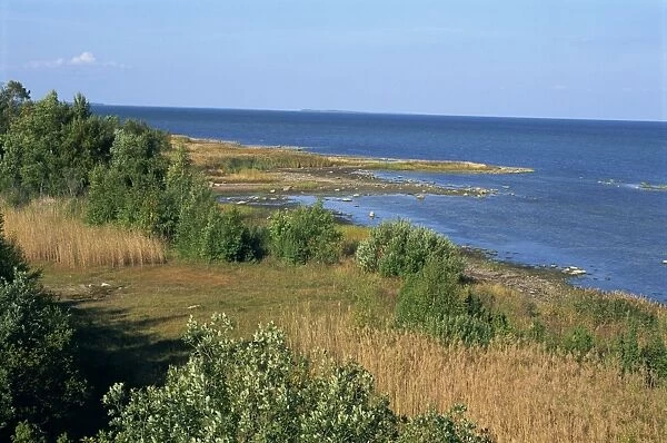 On the coast of Muhu, an island to the west of Tallinn, Muhu, Estonia, Baltic States