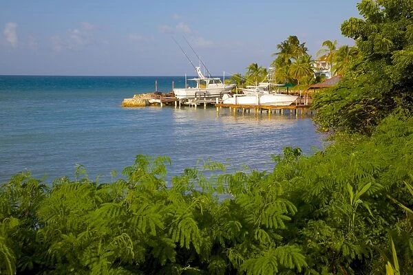 Coast near Gracefield, St. Georges, Antigua, Leeward Islands, West Indies, Caribbean, Central America